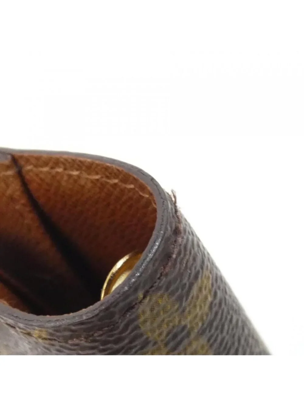 Louis Vuitton brand louis